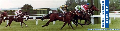 hs chan horse racing